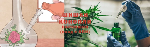 тгк Магадан